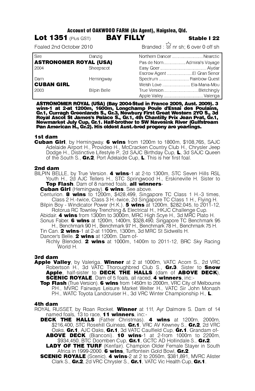 Cuban Lass - pedigree