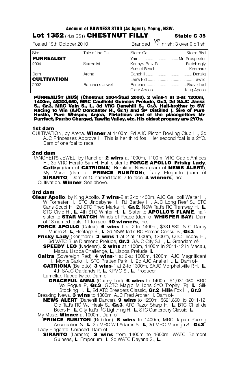 Versace Rose (AUS) - pedigree