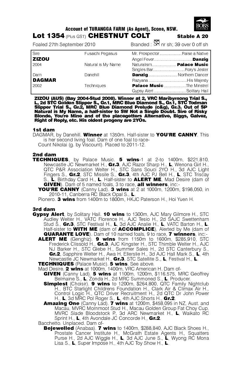 Finniss Zou - pedigree