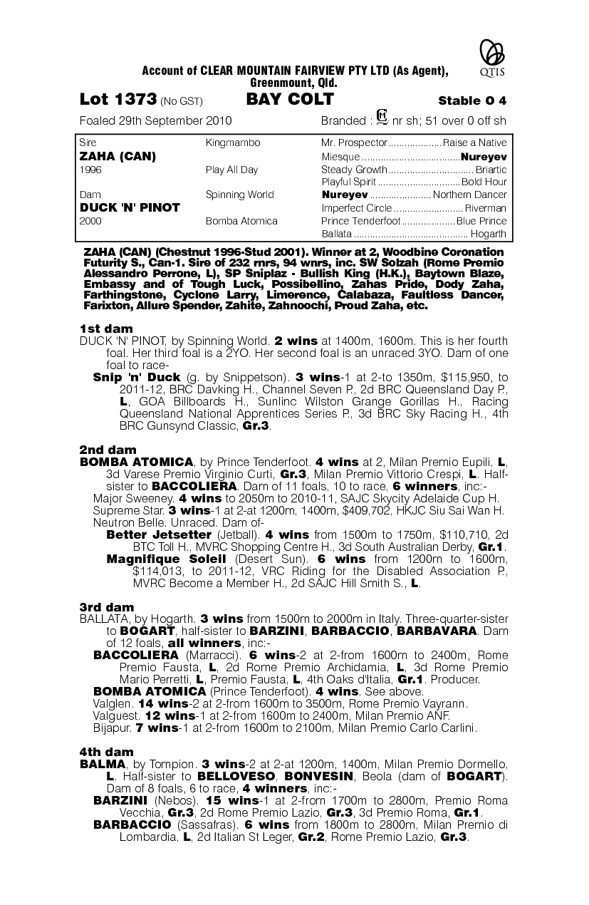 Zaha (CAN) / Duck 'N' Pinot (AUS) - pedigree