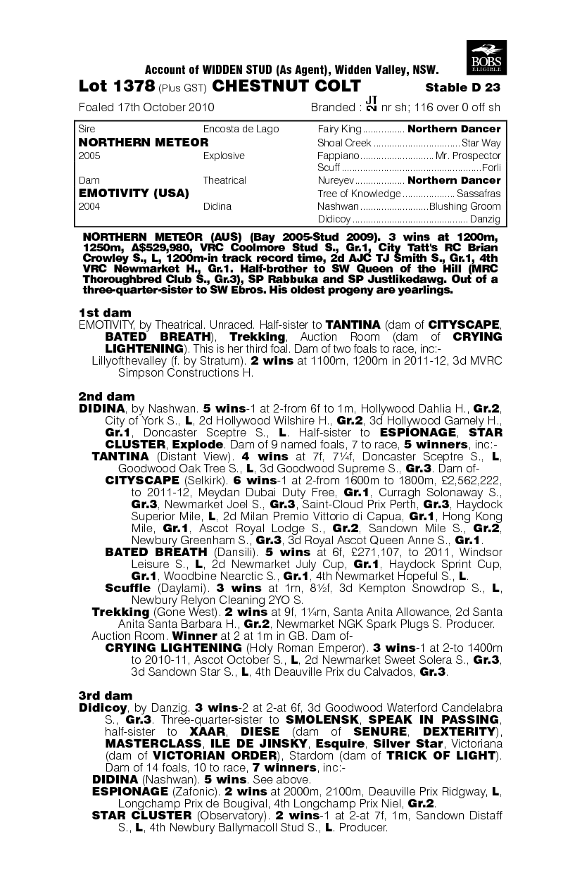 Northern Meteor (AUS) / Emotivity (USA) - pedigree