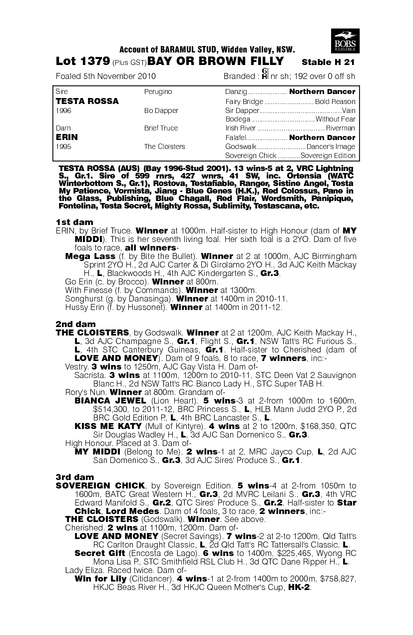 Enzo's Mistress - pedigree