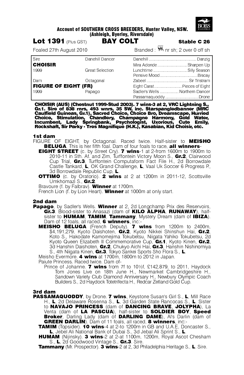 Jimmy Twists (AUS) - pedigree