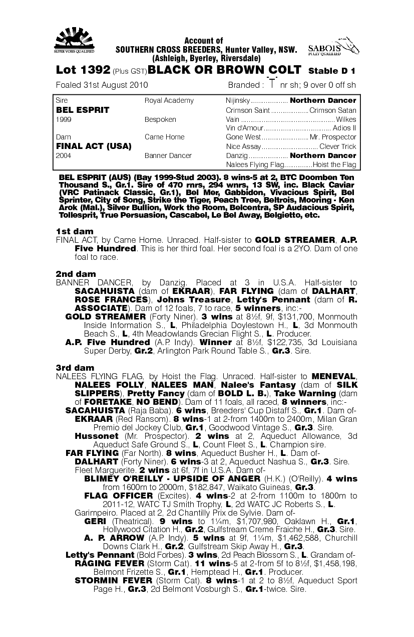 Bellwether (AUS) - pedigree