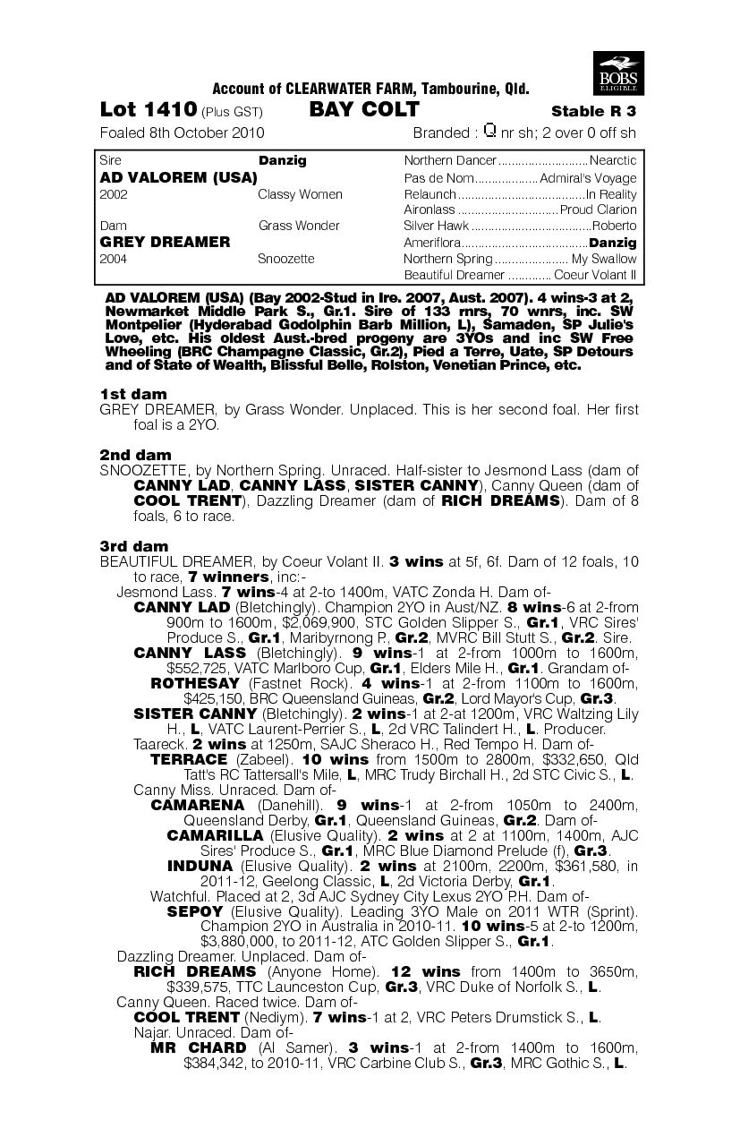 Mr Persistent - pedigree