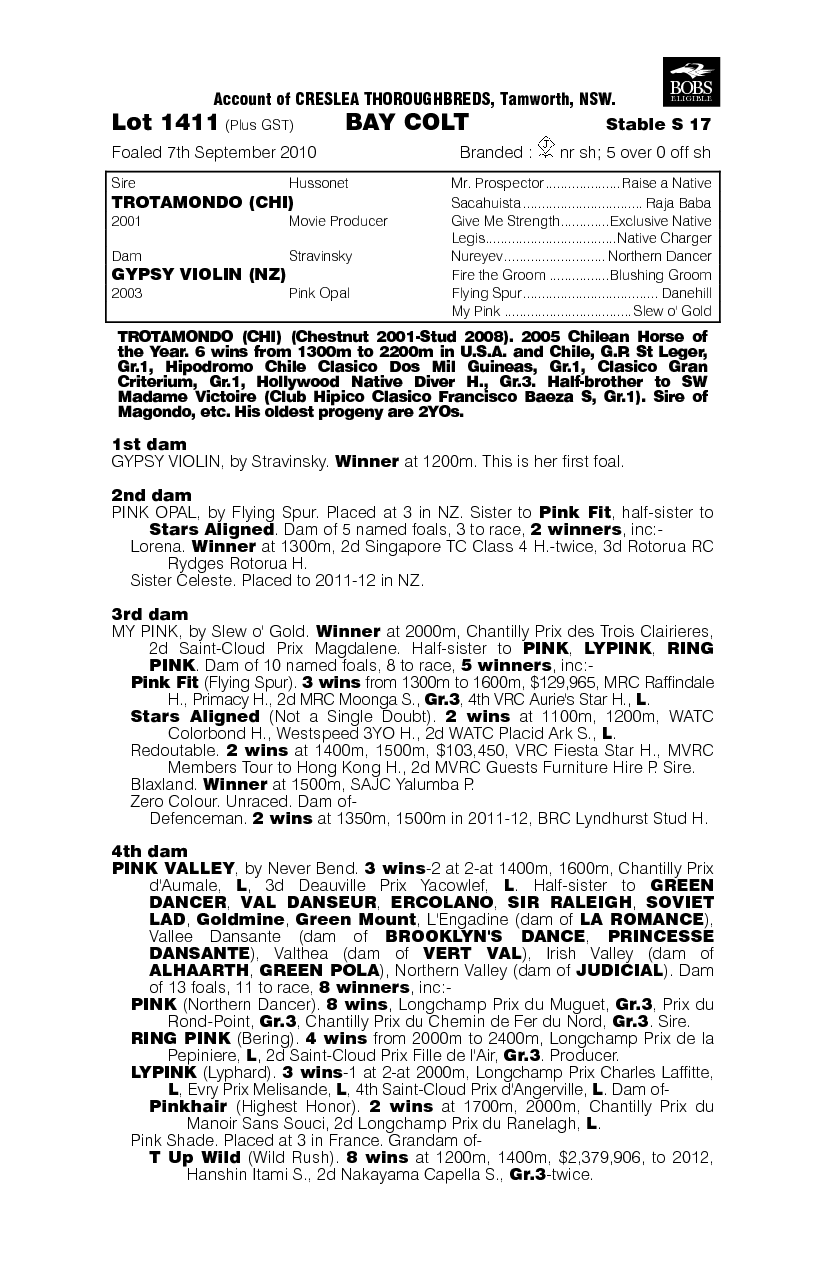 Vencedora - pedigree