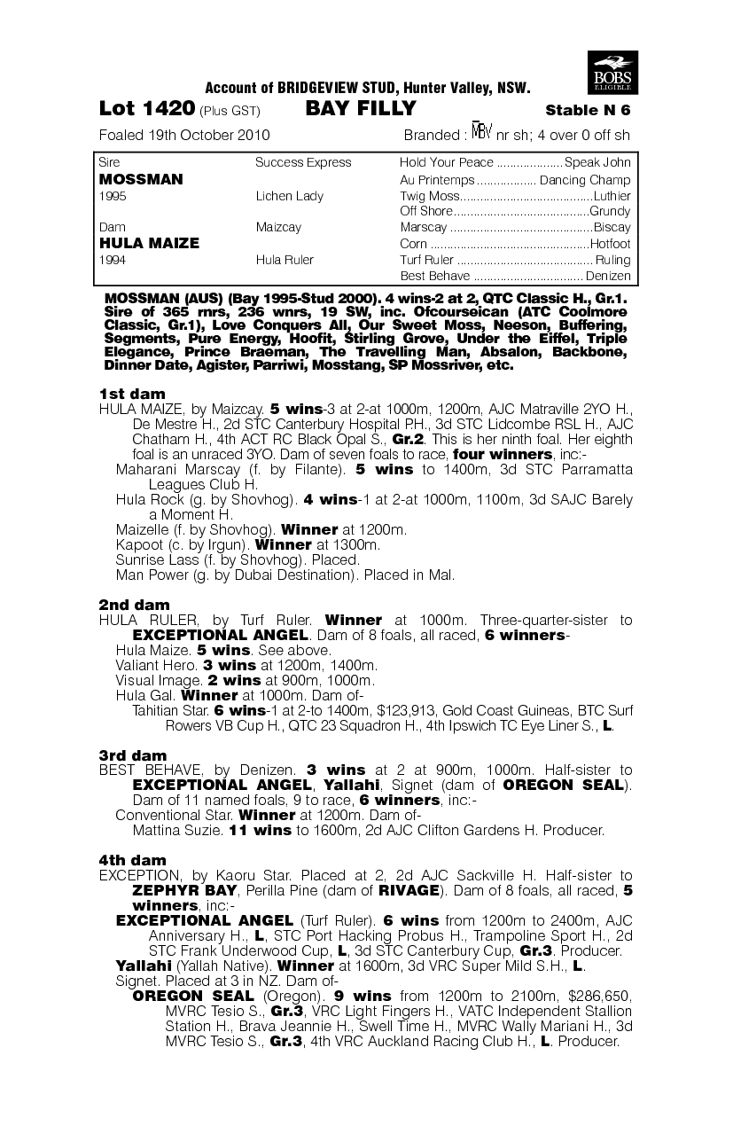 Rain Spell - pedigree