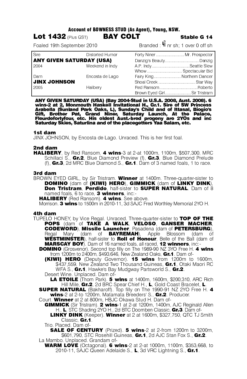 Mightbetheone - pedigree