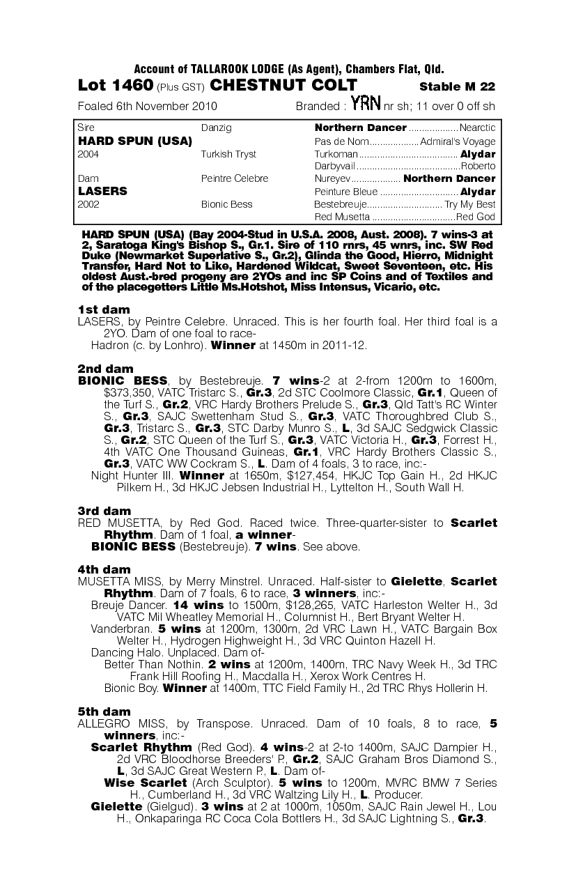 Sony Legend - pedigree