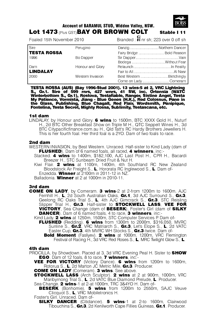 Barbaresco - pedigree