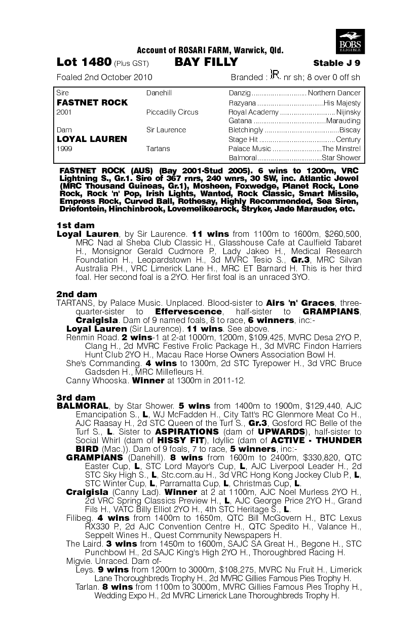 Rock Me Fast (AUS) - pedigree