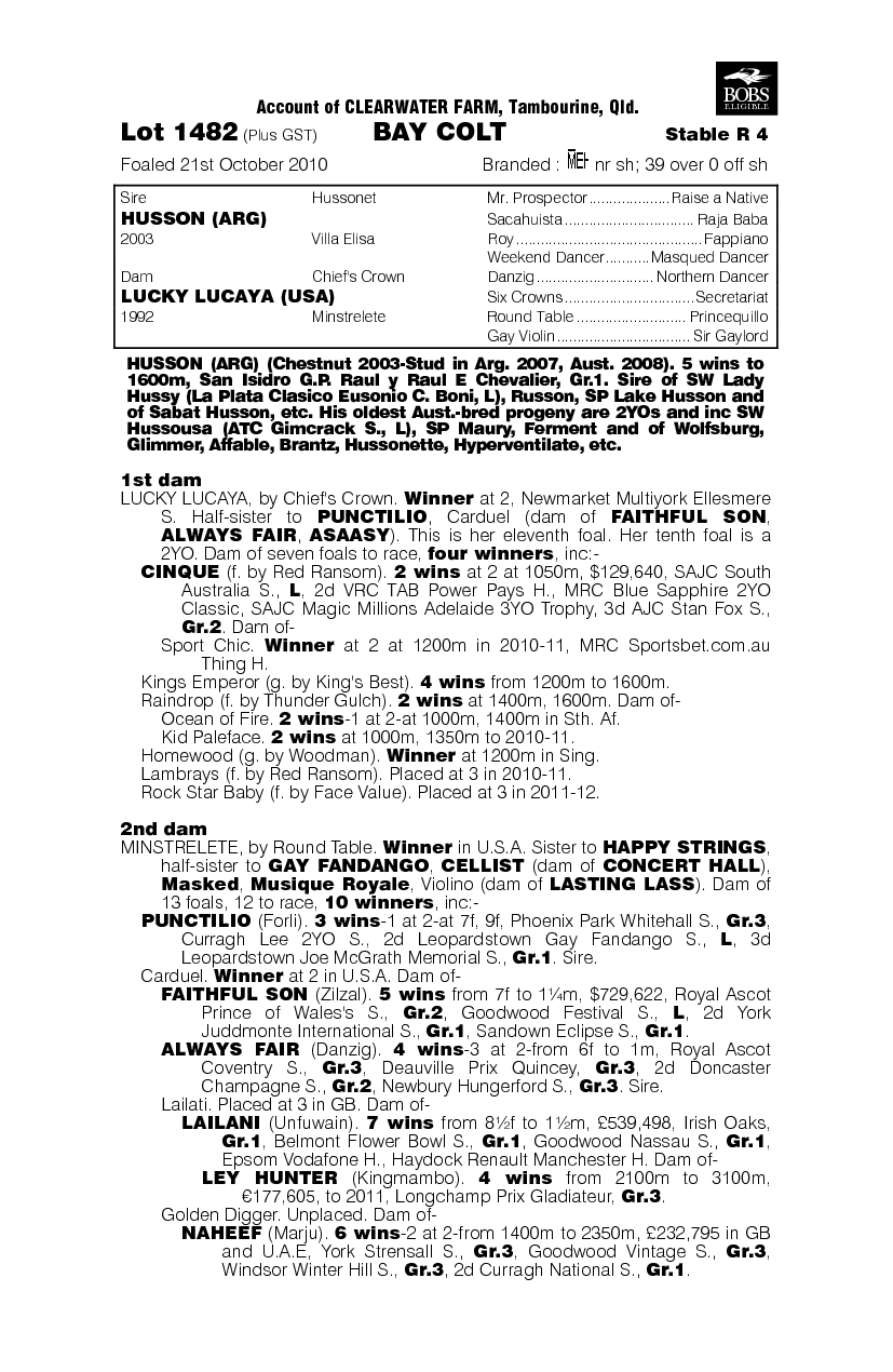 Small Tiger - pedigree