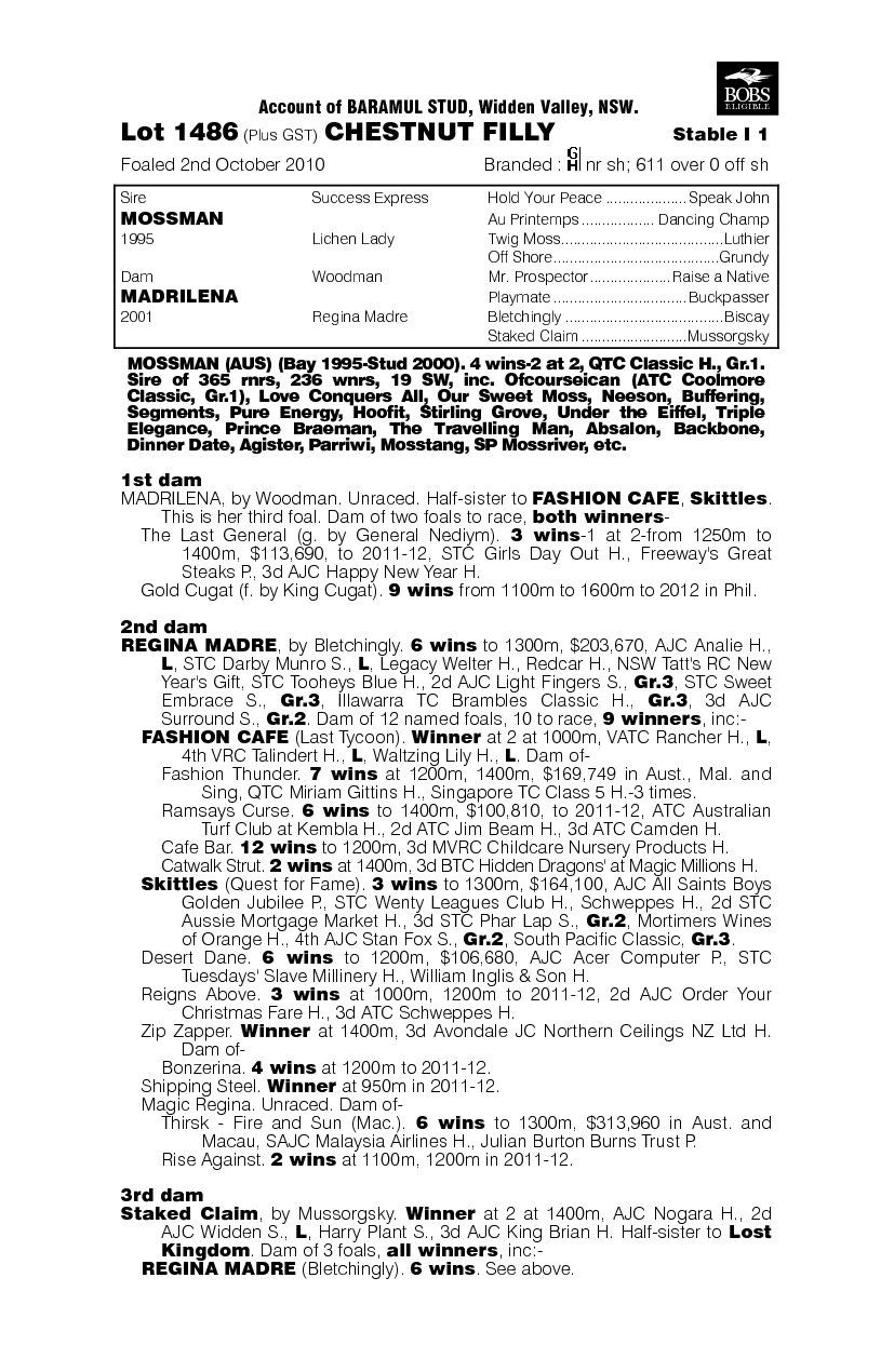 Villa De Madrid - pedigree