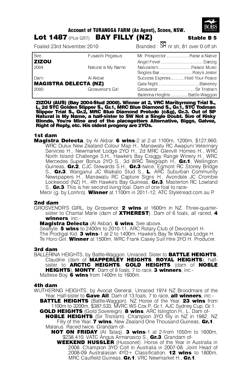 Shippo (NZ) - pedigree