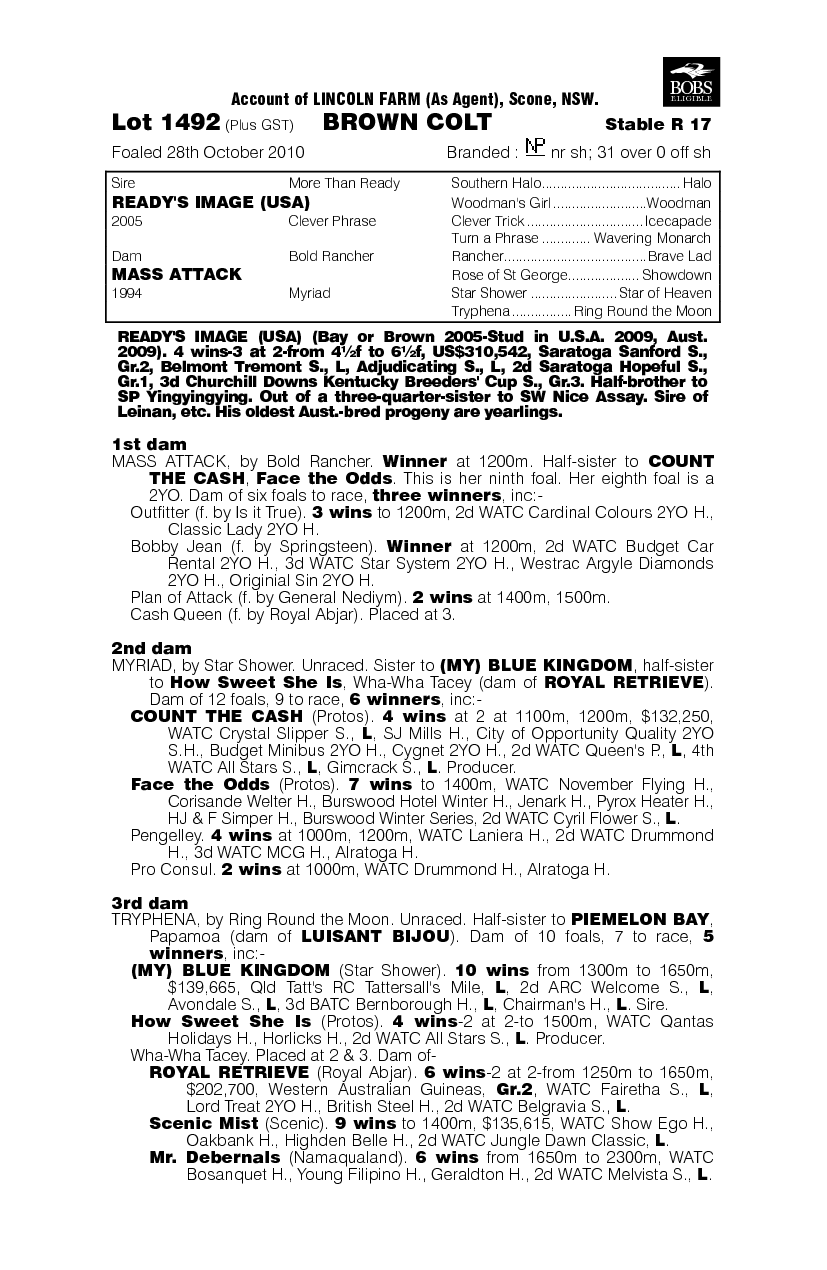 Ready's Image (USA) / Mass Attack (AUS) - pedigree