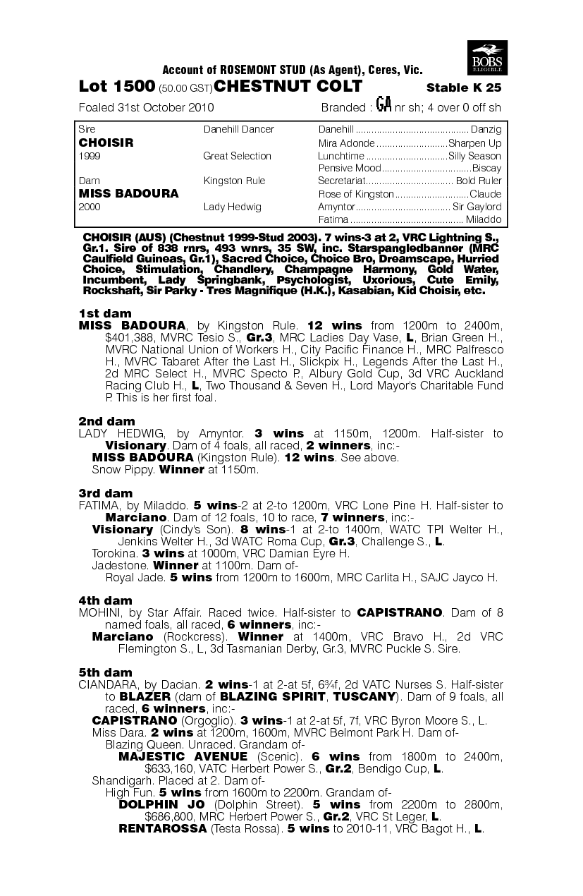Choisir (AUS) / Miss Badoura (AUS) - pedigree