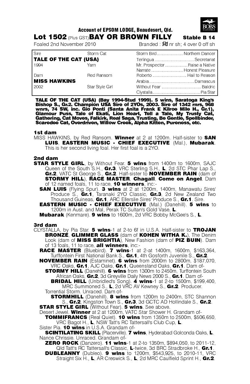 Stevie Wondergirl (AUS) - pedigree