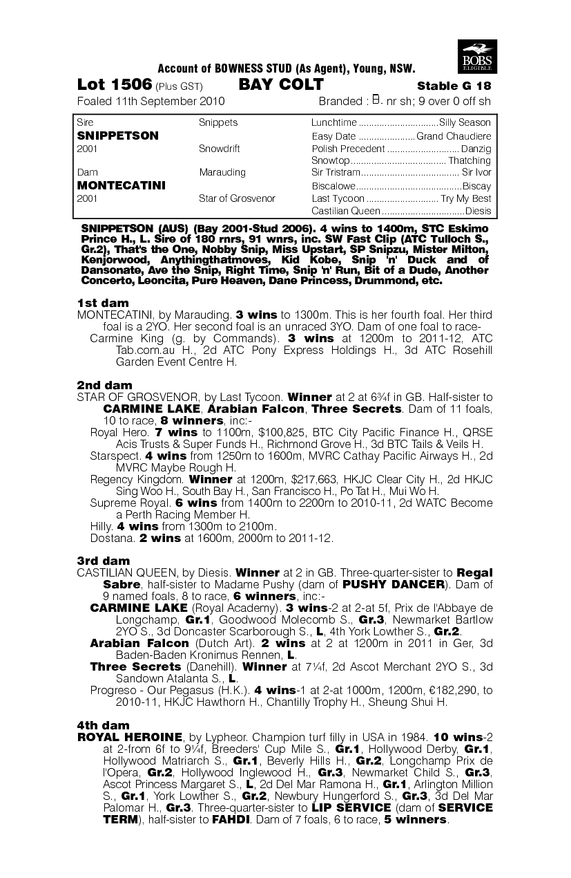 Bazza's Bid - pedigree