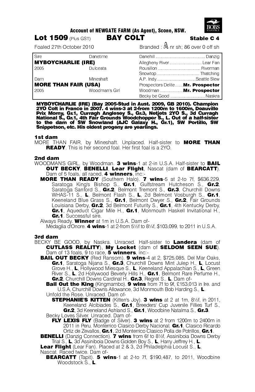 More Than Charlie - pedigree