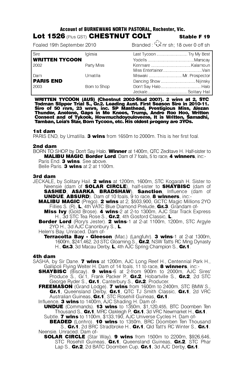 King's Tycoon (AUS) - pedigree