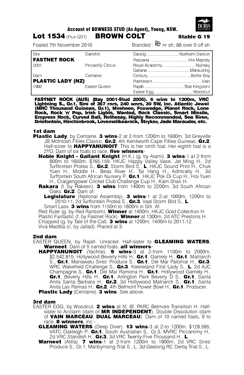 Fastnet Rock (AUS) / Plastic Lady (NZ) - pedigree