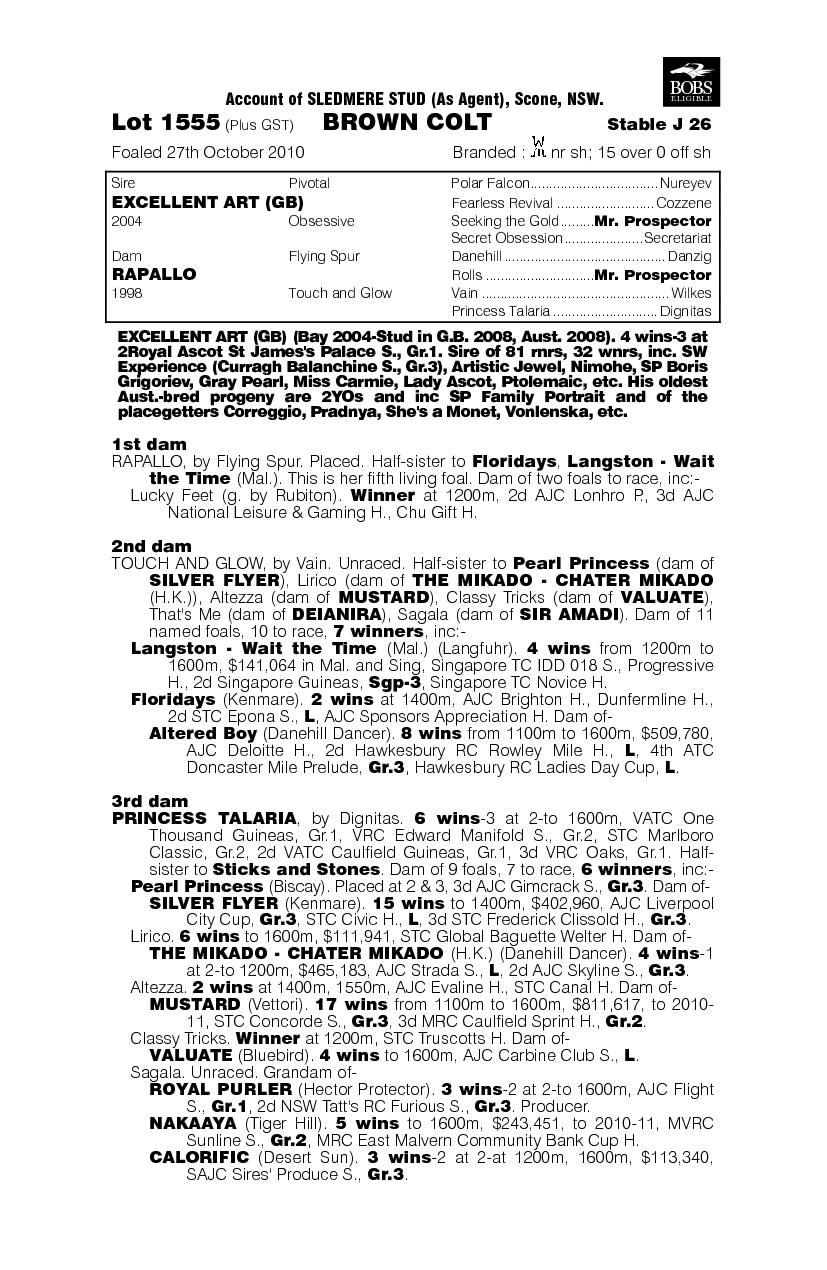 Art Of Purfection - pedigree