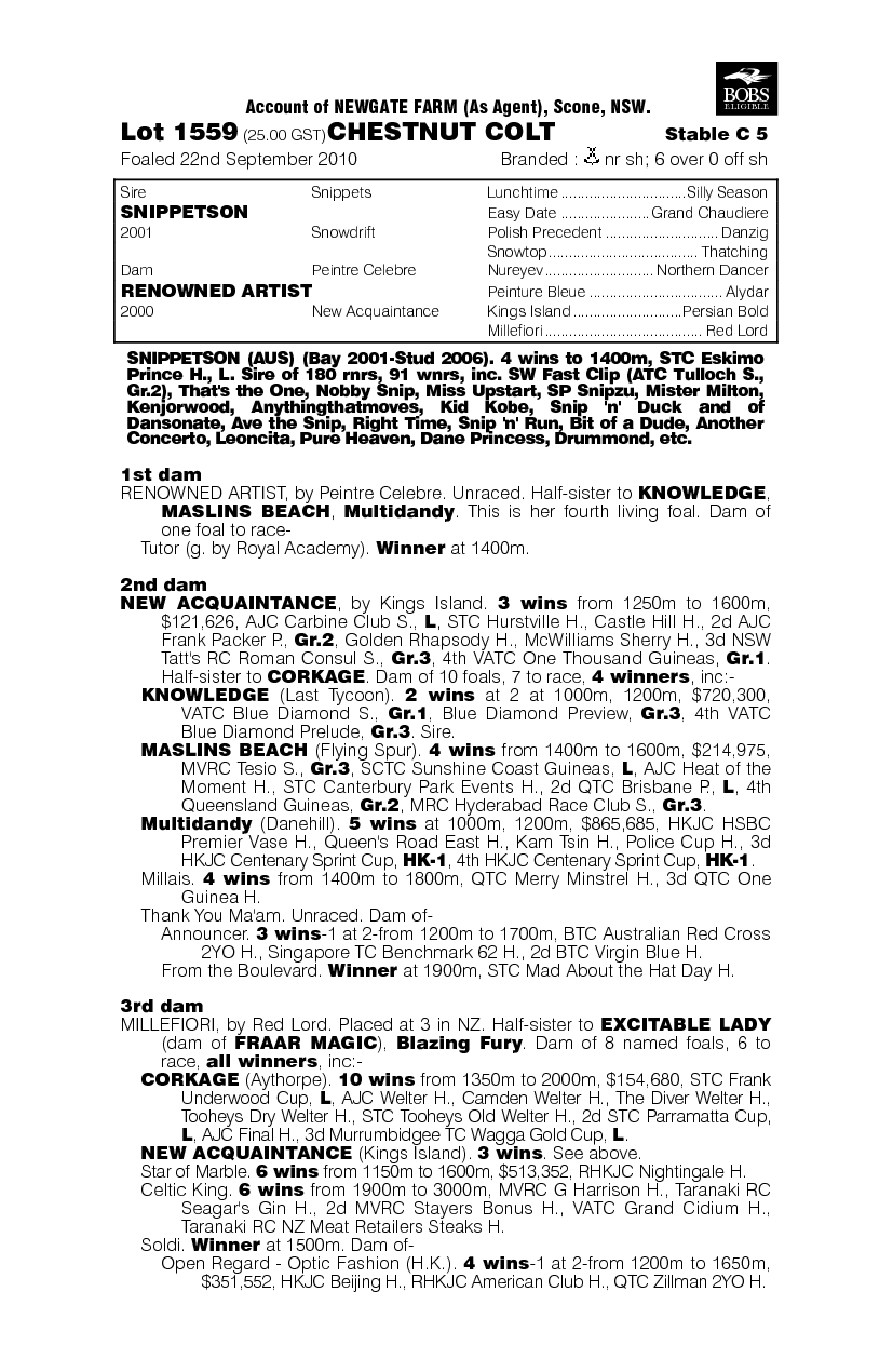 Spicy Dragon (AUS) - pedigree