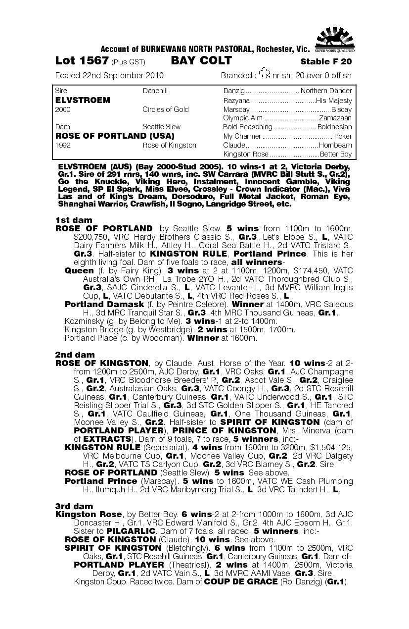 Yugioh (AUS) - pedigree