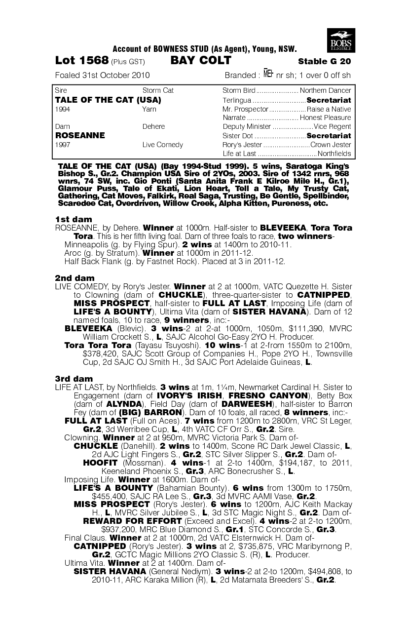 Black Fiery - pedigree