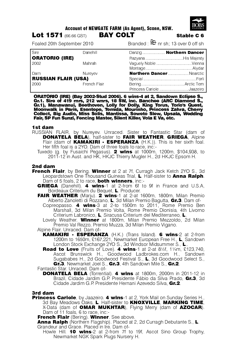 Russian Maestro (AUS) - pedigree