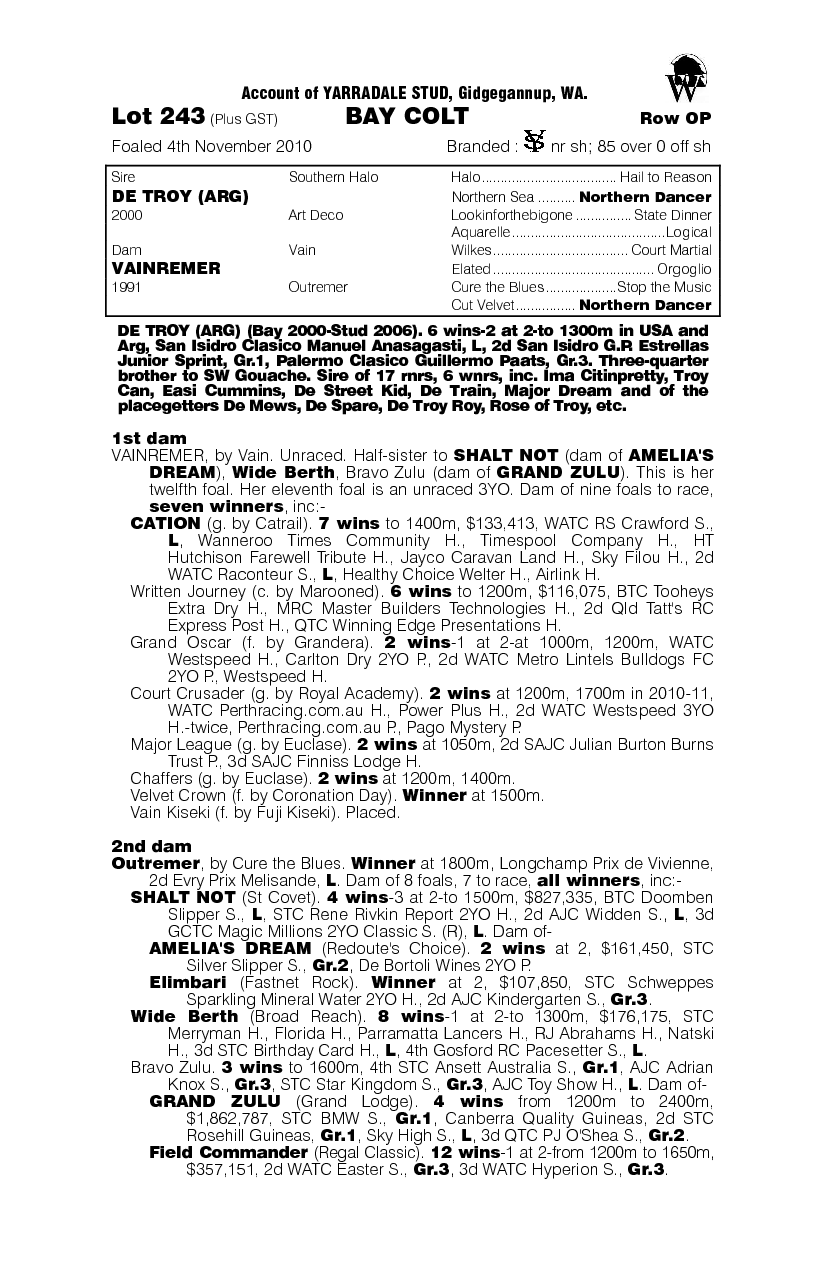 The Little Bloke - pedigree