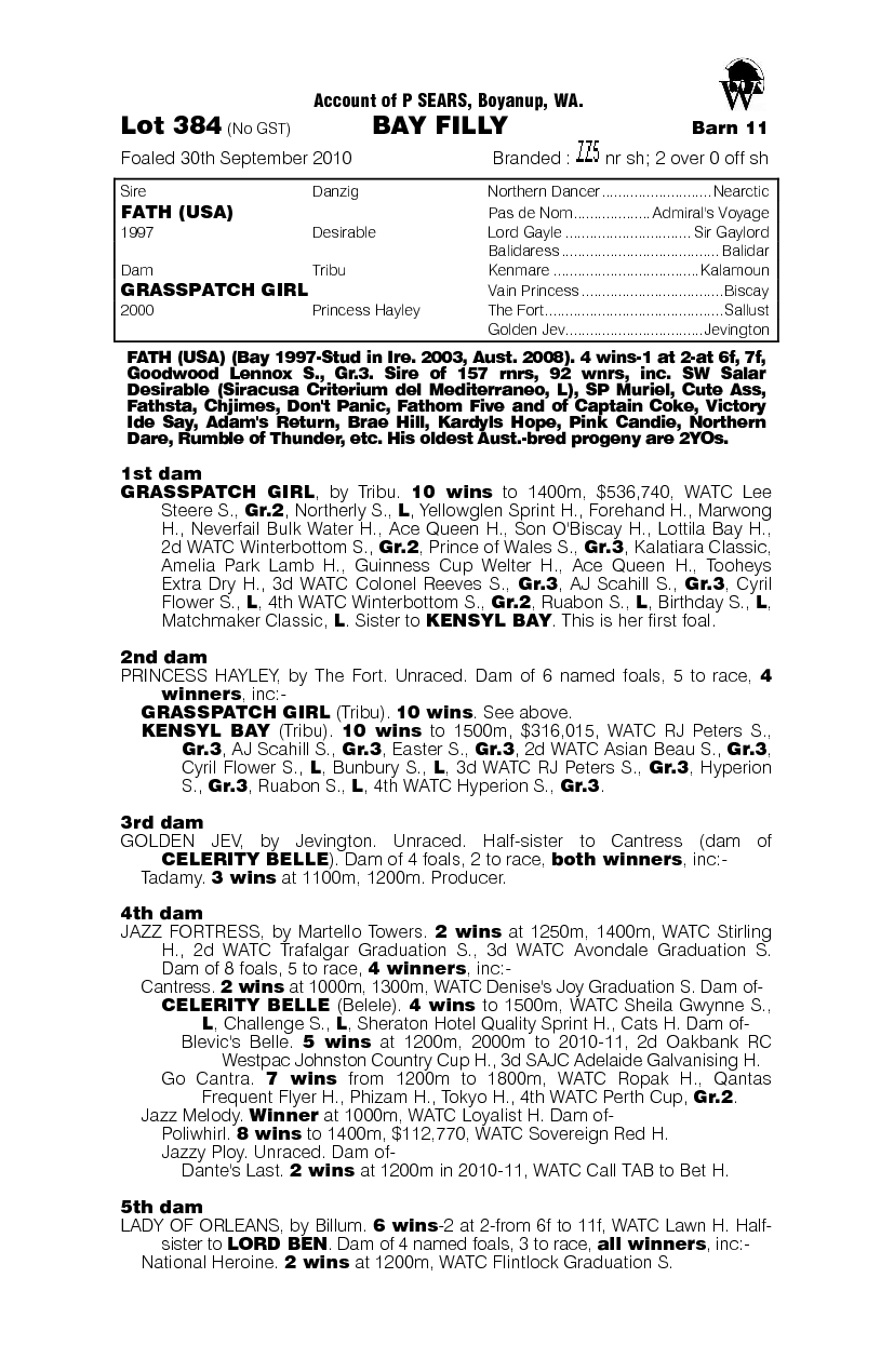 Distant Memory (AUS) - pedigree