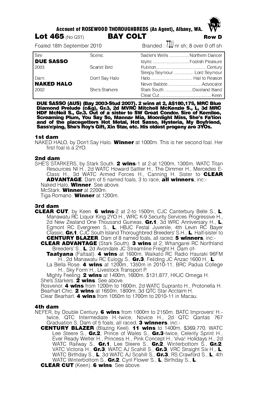 Due Sasso (AUS) / Naked Halo (AUS) - pedigree