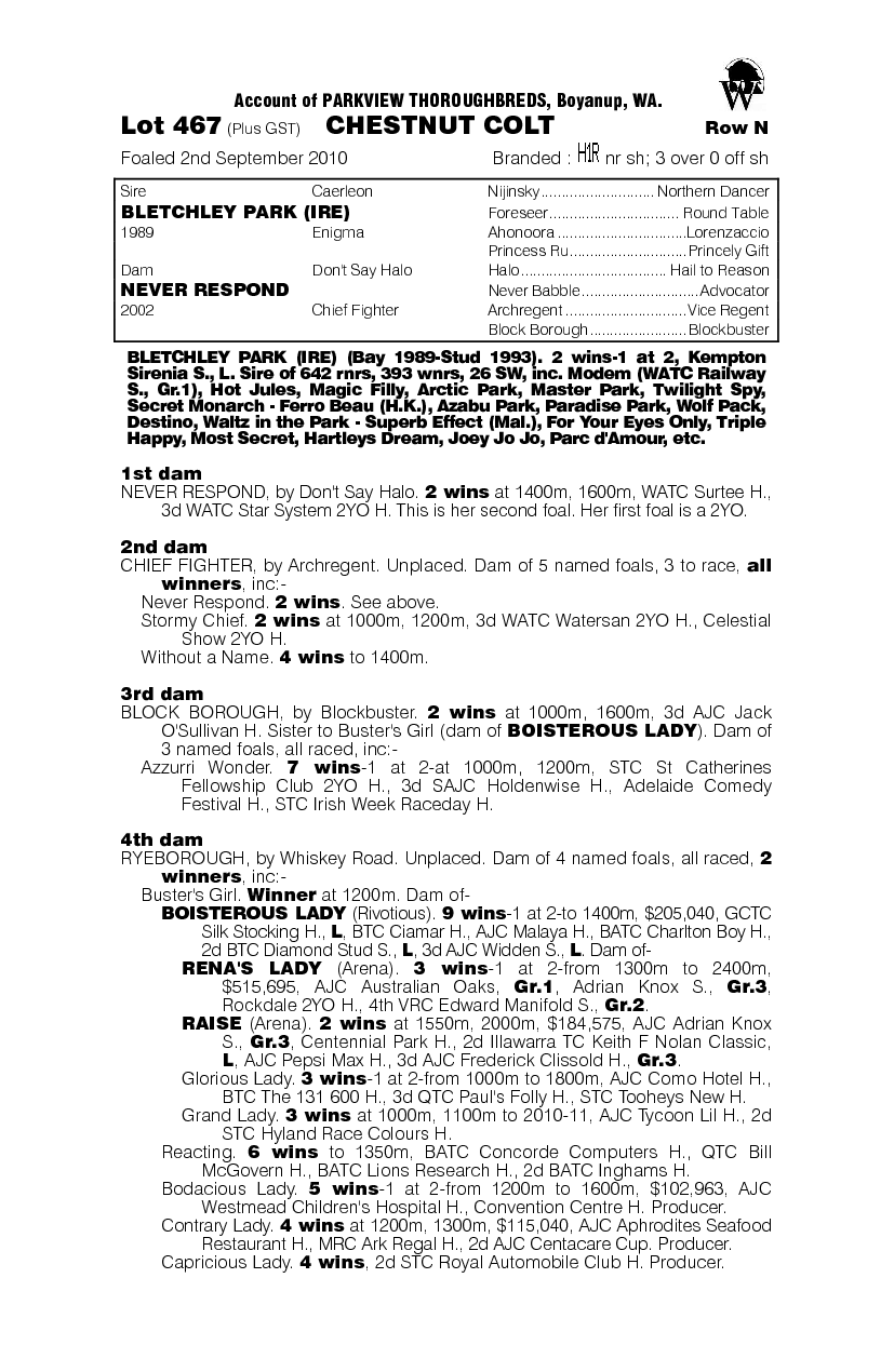 Nothing To Say (AUS) - pedigree