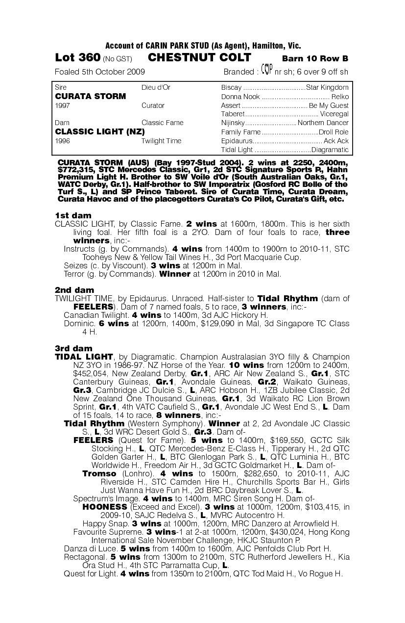 Curata Gold - pedigree