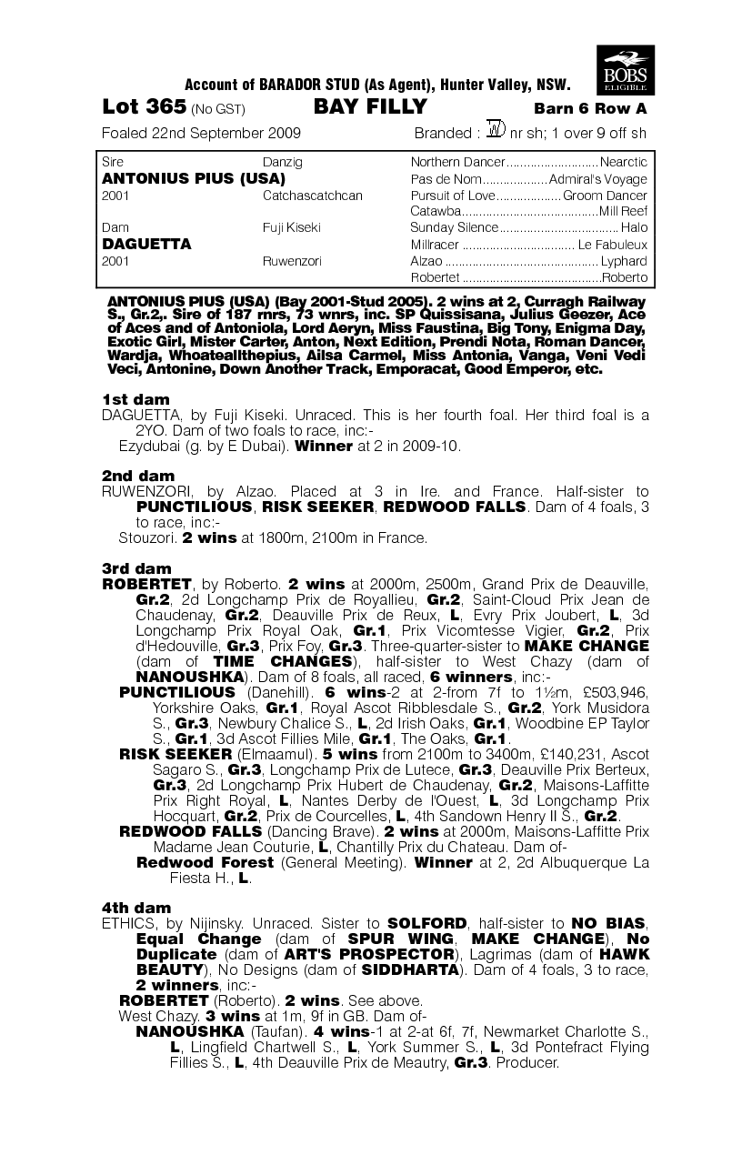 Dusty Pius - pedigree