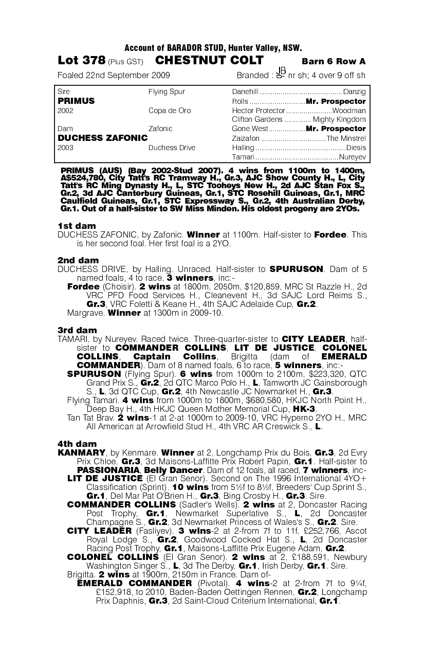 Bray View - pedigree