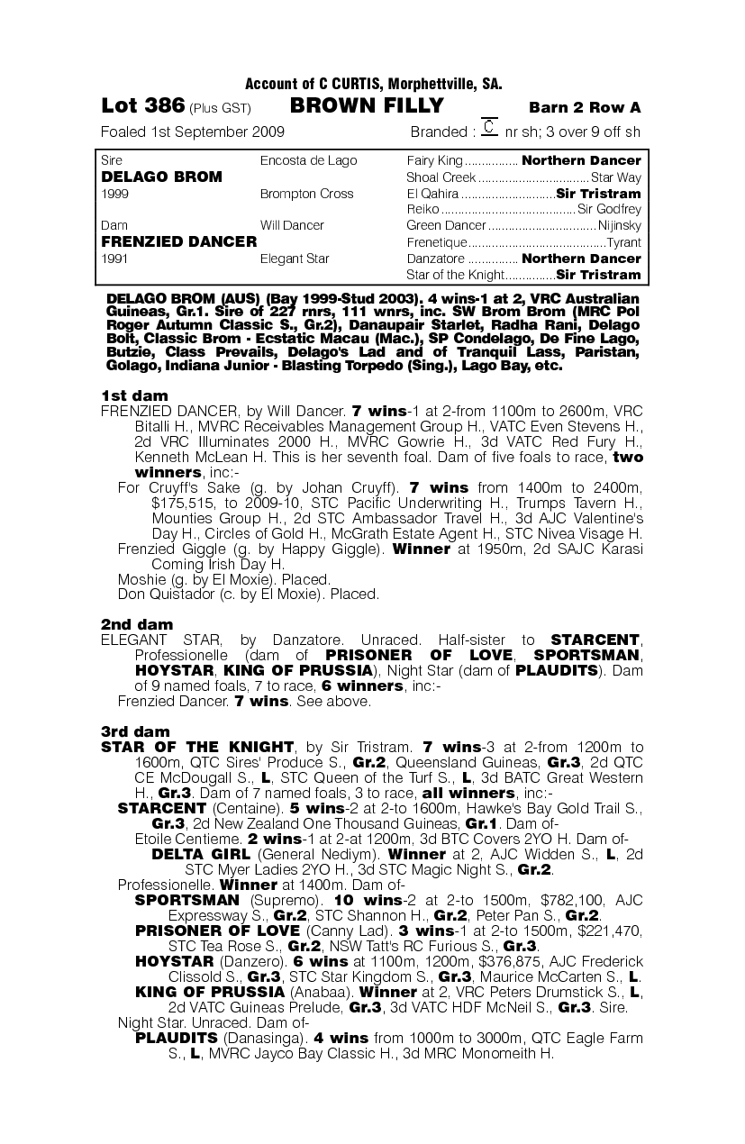 Maximum Attitude - pedigree