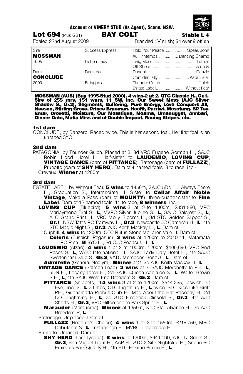 Storm Magic - pedigree