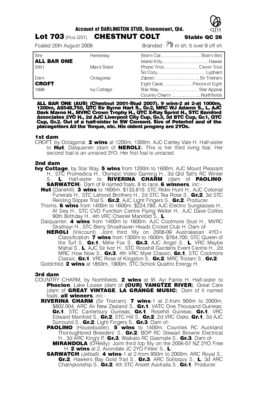 Grand Business - pedigree