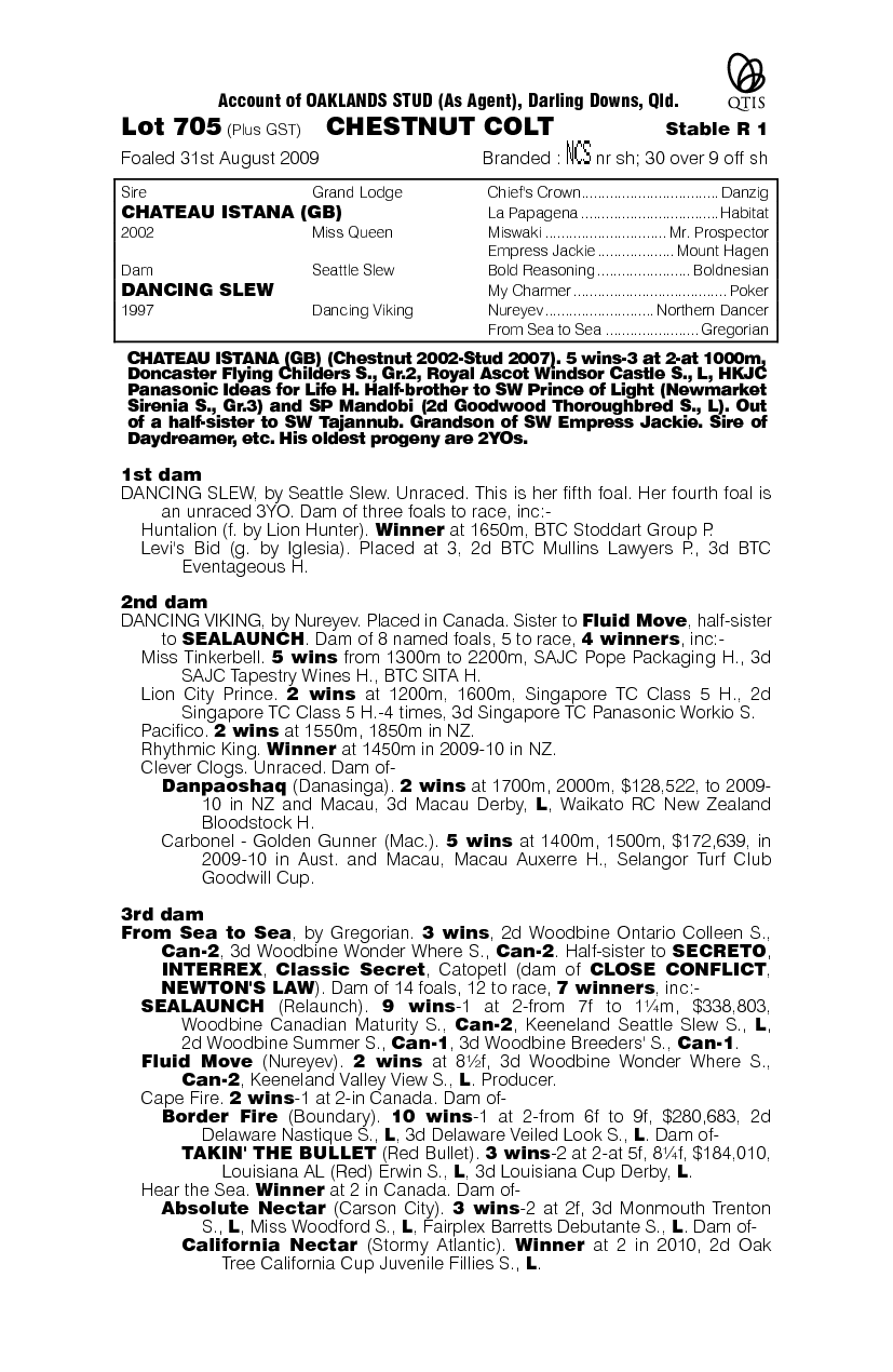 Bastille Knight - pedigree