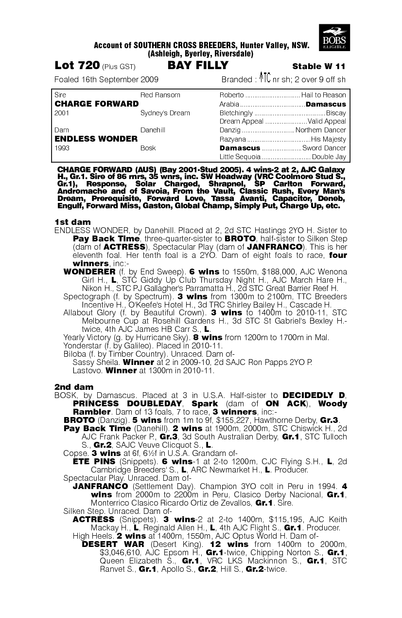 Casual Charm - pedigree