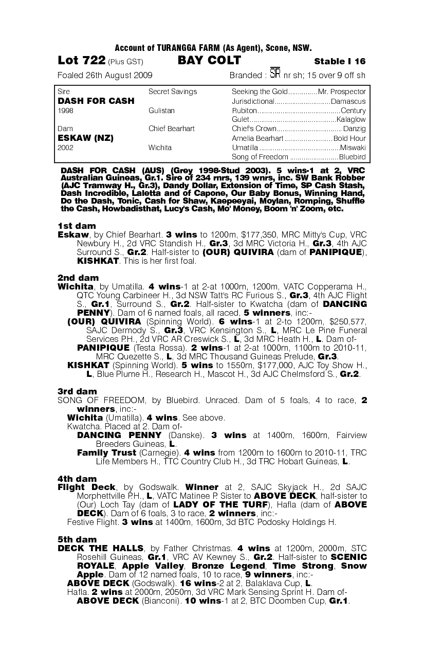 Skawboard Pressure - pedigree