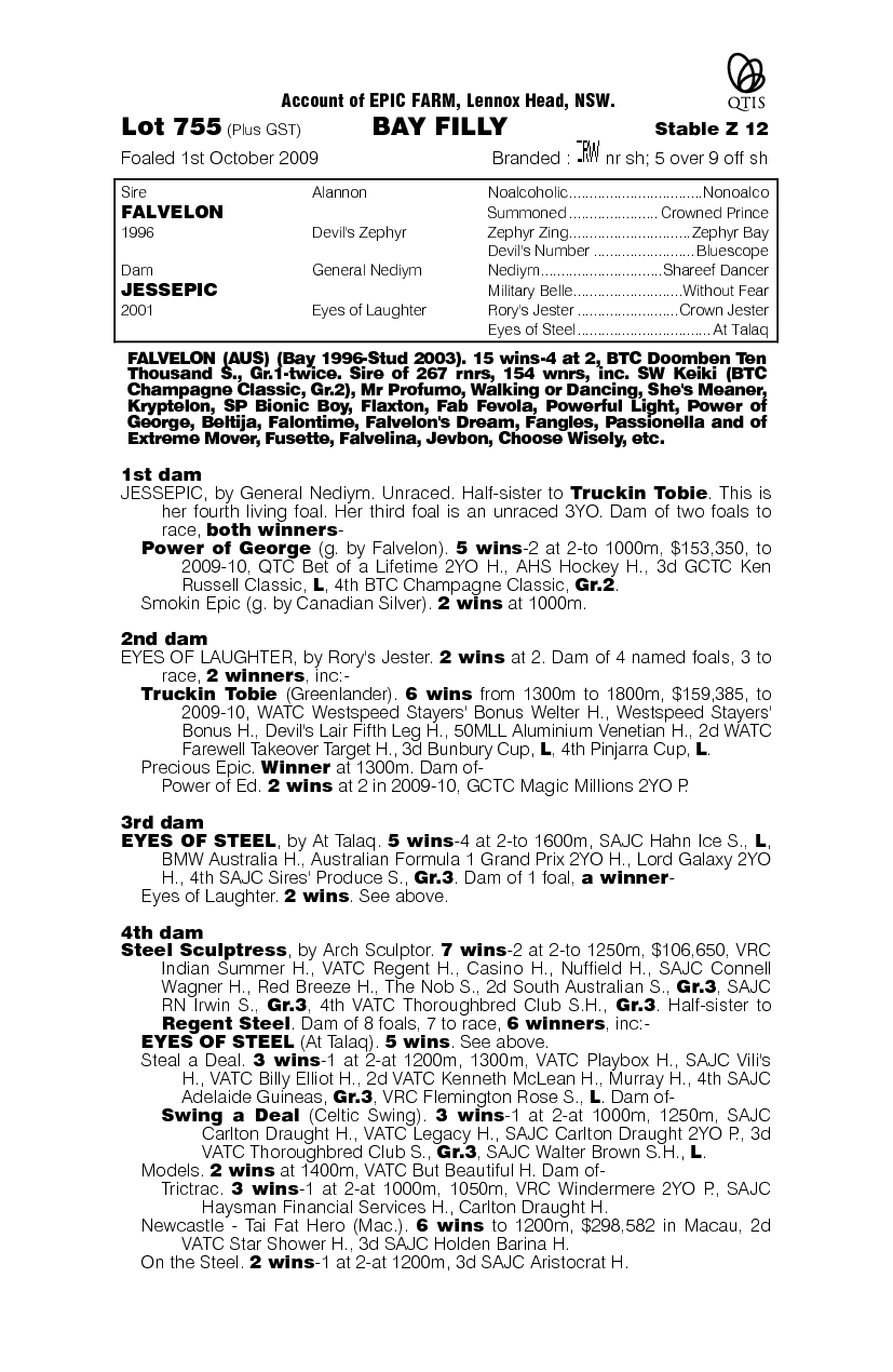 Shez Epic - pedigree