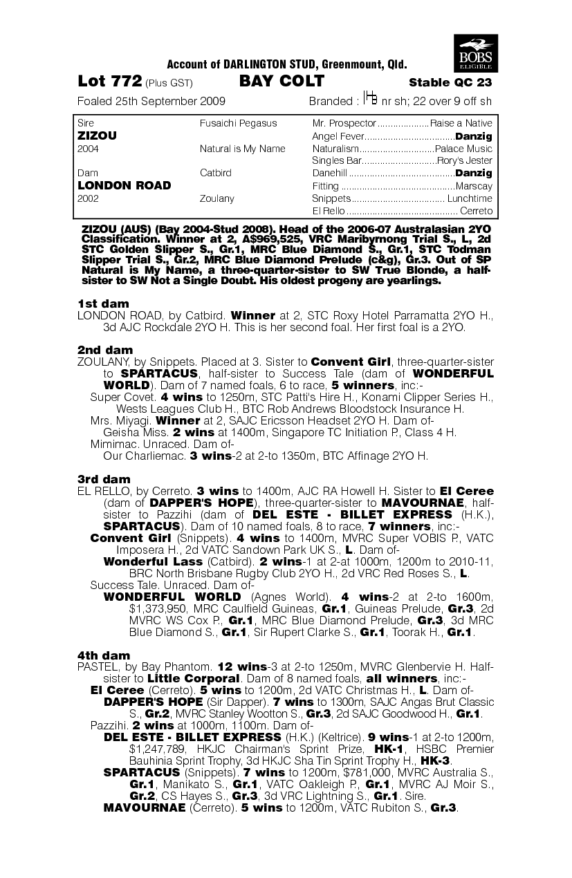 Flame Fighter (AUS) - pedigree