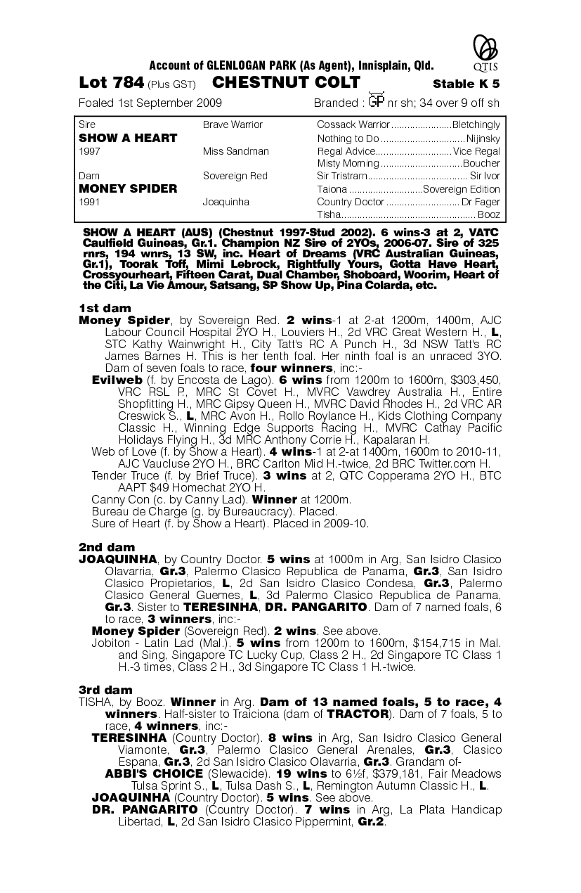 Sovereign Spider - pedigree