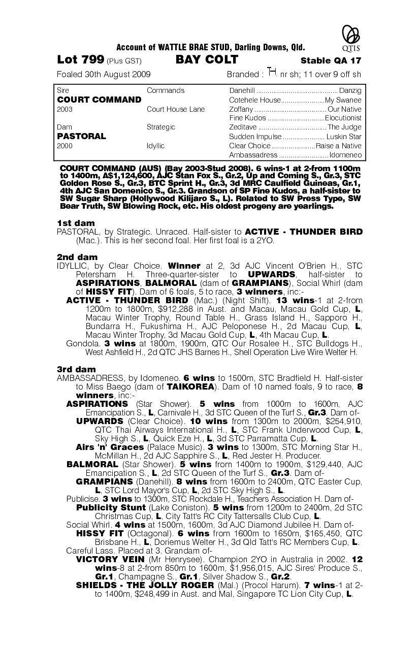 Fifth Column - pedigree