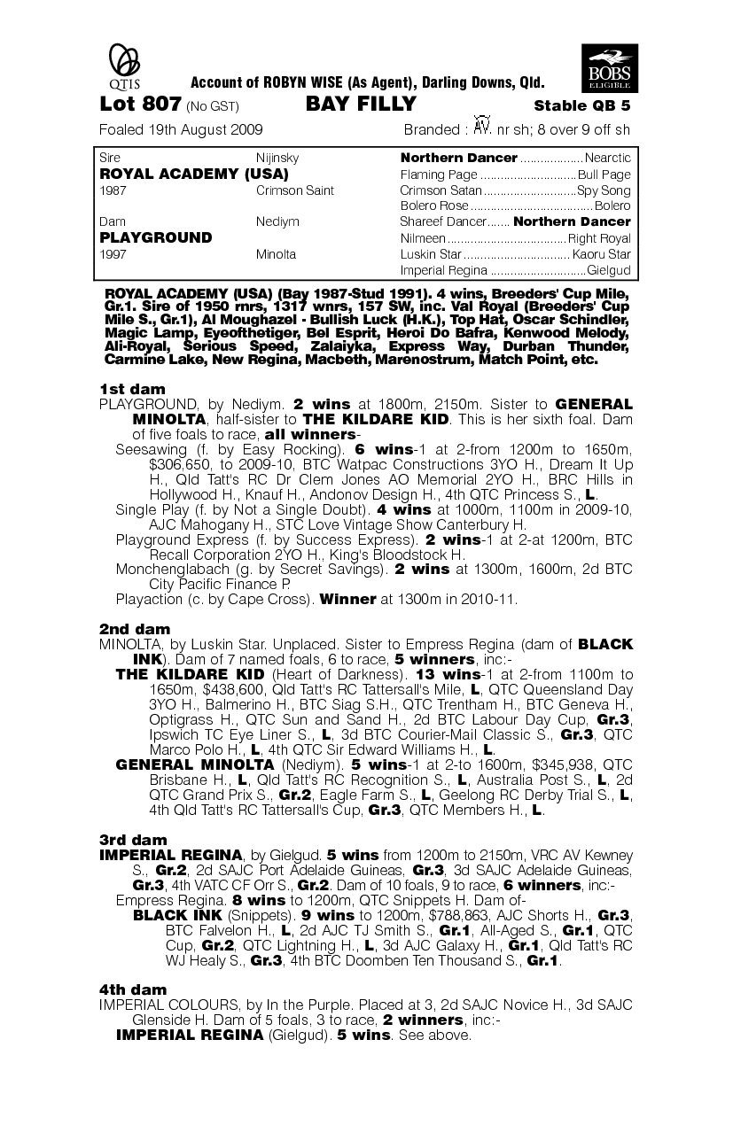 Playgroundprincess - pedigree