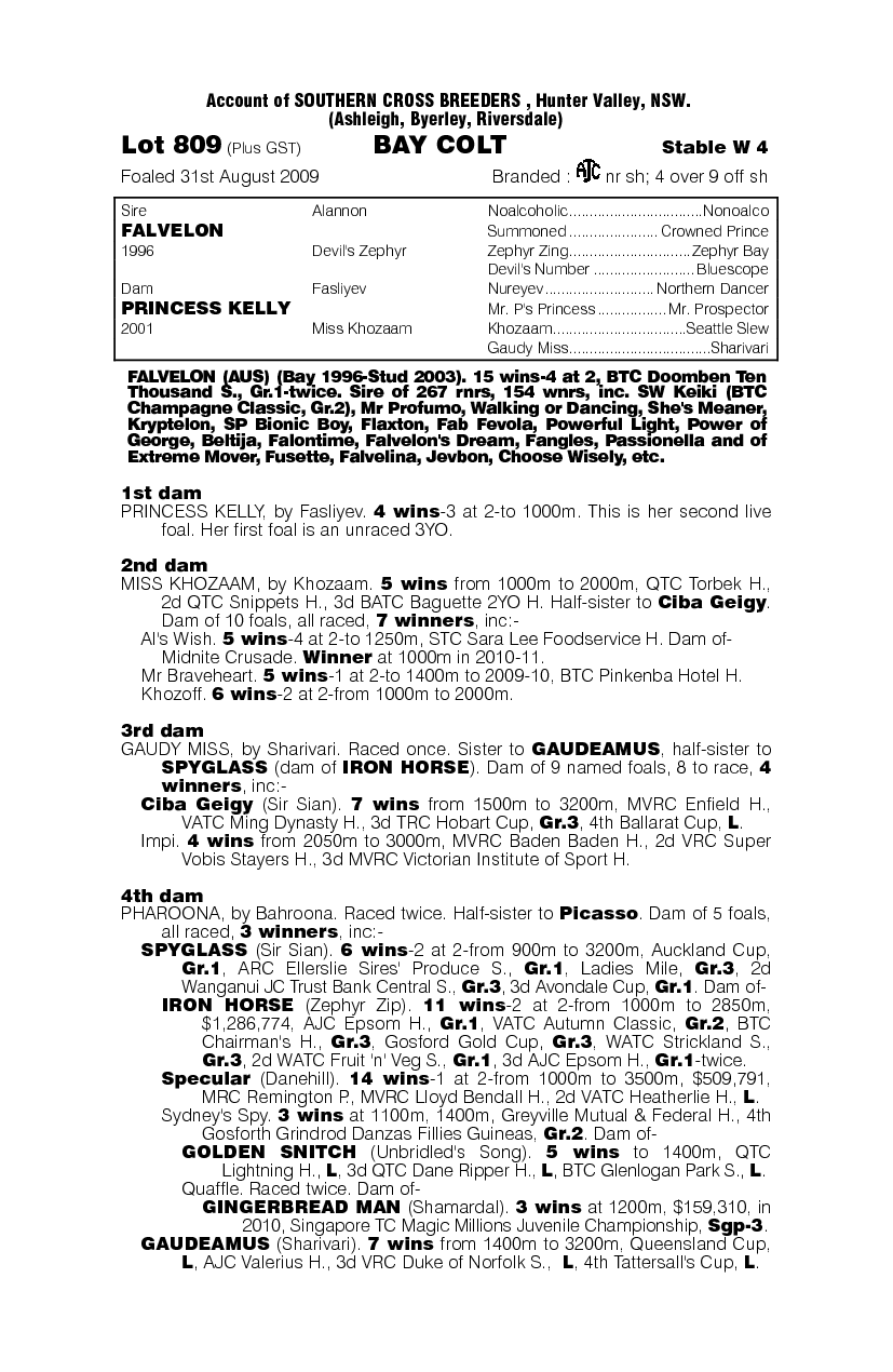 Kuaima (AUS) - pedigree