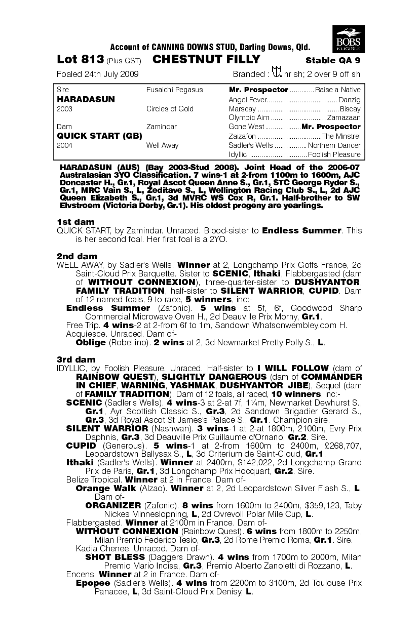 Touch Of Art - pedigree